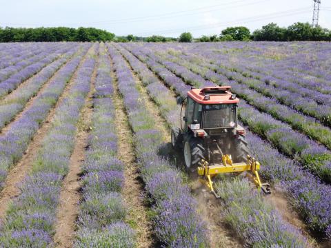 BUSA KS-1 Forgókapás sorközművelő kultivátor