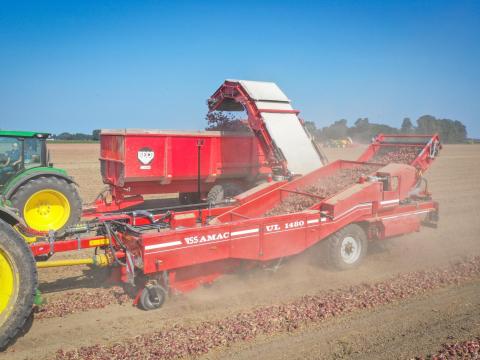 AMAC hagymafelszedő rakodógép 1,48 és 2×1, 5 m – hatékony hagymabetakarítás PRÉMIUM kivitelben