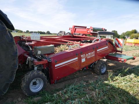 AMAC hagyma kiemelő rendrakó 1,42 - 2,1 m hagymabetakarításhoz PRÉMIUM kivitel