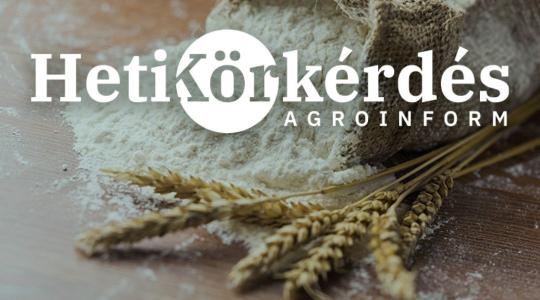 „Kik” a malmok kedvencei? – Heti Körkérdés