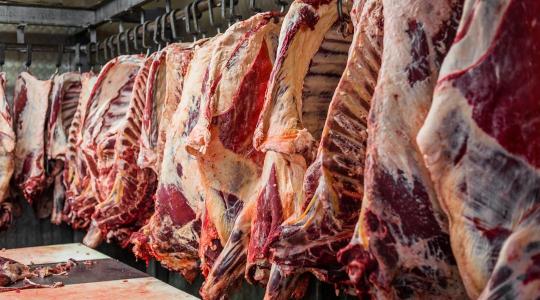 Nyakunkon a dél-amerikai húsáradat: veszélyben a magyar baromfi- és marhaágazat?