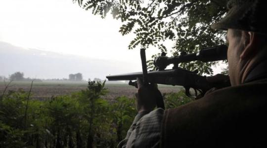 Lelőttek egy erdészt, majd el akarták tüntetni a bizonyítékokat