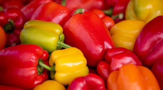 A paprika gyökere ettől fejlődhet erősebbé és ellenállóbbá a nyári hőségben