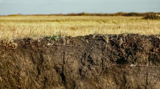 A gazdálkodás alapja a talajok pontos ismerete – de hogyan érdemes vizsgálni? 