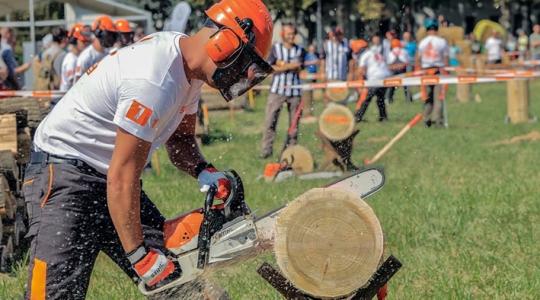 Újra hat regionális fordulóval rajtol a STIHL Országos Fakitermelő Bajnokság