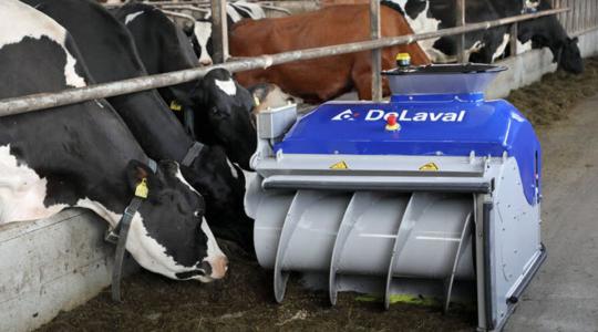 Kis befektetéssel is növelhető a tehenek tejhozama – mutatjuk, hogyan 