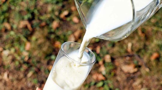 Európában változott a tej ára. Erre a fordulatra vártak a magyar tejtermelők?