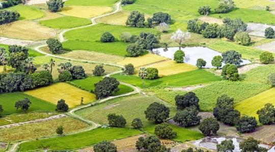 Változás a 10 hektár alatti földek kifüggesztés nélküli adásvételének szabályaiban 