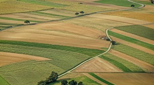 Év végén minden mezőgazdasági szereplőnek el kell gondolkodni azon, hogy hogyan tovább