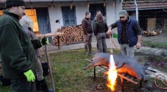 Szép dolog a vegánság, de nekem a friss tepertő sokkal szebb