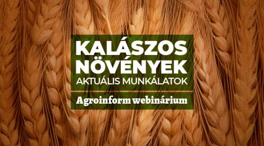 Agroinform Webinárium: Kalászos növények – aktuális munkálatok 