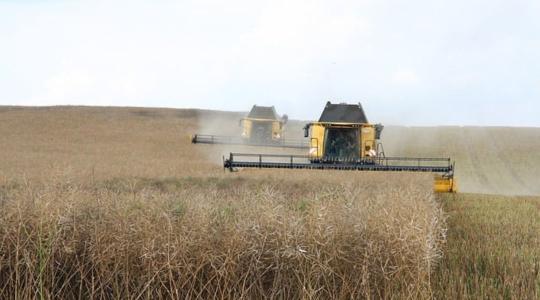 Szigorú büntetést kapott egy ukrán agrártermékkel üzletelő lengyel vállalat