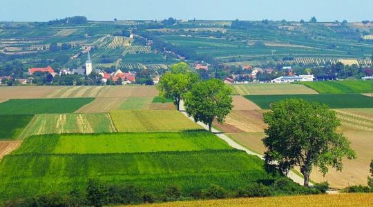 Spekulánsok vásárolnák fel az idős gazdák földjeit