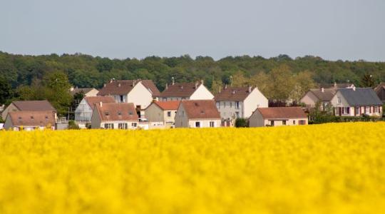 Kár ezért a növénykultúráért, pedig nem is olyan rég nagy jövő előtt állt