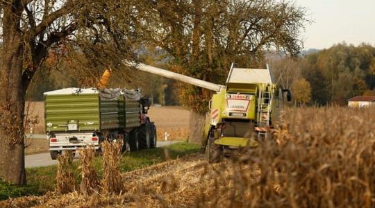 Az aratás meghozta a várt eredményt: fellendülőben van a pótkocsik értékesítése