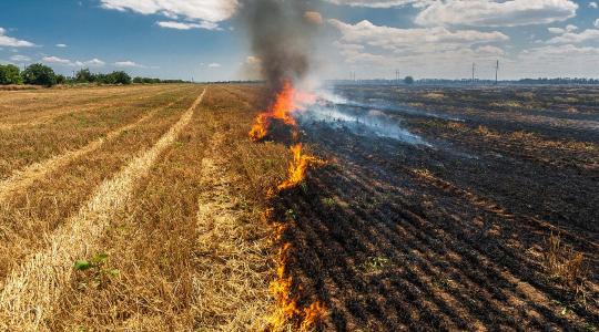 Kigyulladt egy hatalmas szalmagúla, több vízsugárral oltják