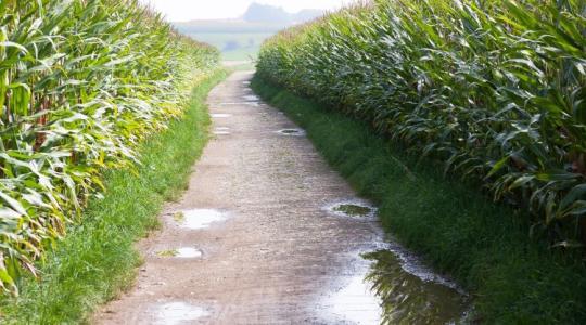 Így jelentsd a vis maiort, ha az közérdekű igénybevétel során lép fel