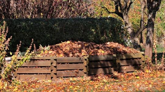 Ismerd meg a komposztsövényt! Rengeteg előnye van 