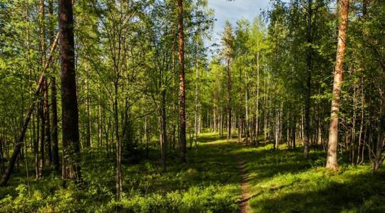 Amikor az ember védeni próbálja a természetet, van, hogy csak ront a helyzeten...