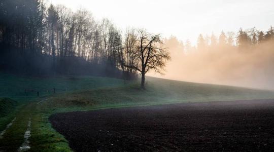 Mi történt a héten az agráriumban?