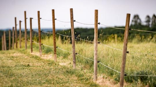 Ez mindenkinek fájni fog? Újabb konfliktusforrás vadgazdálkodók és a termelők között