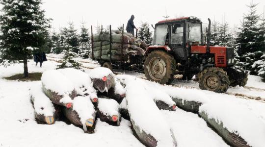 3 napos időjárás-előrejelzés: Minden nap havazhat!