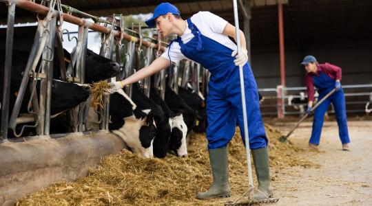 Újabb fordulat a Fülöp-szigeteki vendégmunkások ügyében