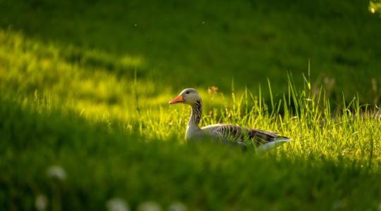 Időjárás: Akár 18-20 Celsius fok is lehet. Ebből baj lesz! +VIDEÓ