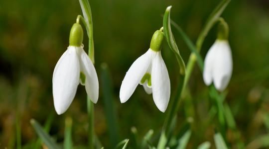 30 napos időjárás-előrejelzés: Tél vagy tavasz lesz februárban? 