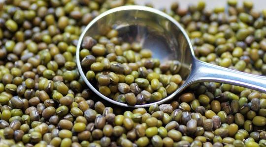 Nem puffaszt, gyorsan kész van, és még finom is – mi az? A mungóbab!