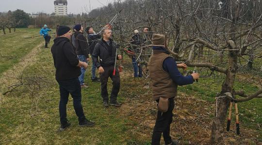 Már Szarvason is elérhető a MATE „Gyümölcsfák metszése” képzése