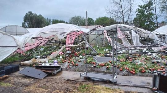 Szívmelengető történet: A tragédiák után mindig jön az összefogás