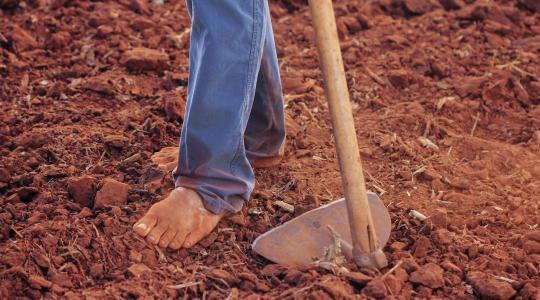 5 hiba, amit a gazdák elkövetnek a munkavédelmi cipő vásárlásakor