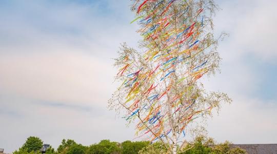 Borsót vetnél? Semmiképp ne ma tedd!