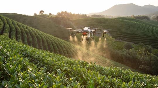  Megduplázódott a mezőgazdasági drónhasználat – ez lehet a költségcsökkentés kulcsa?