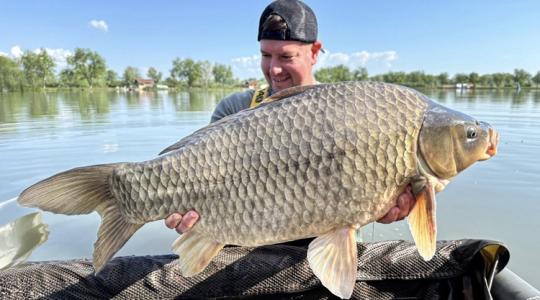 Ponty vagy kárász? Ezt a rekordhalat nehéz besorolni!