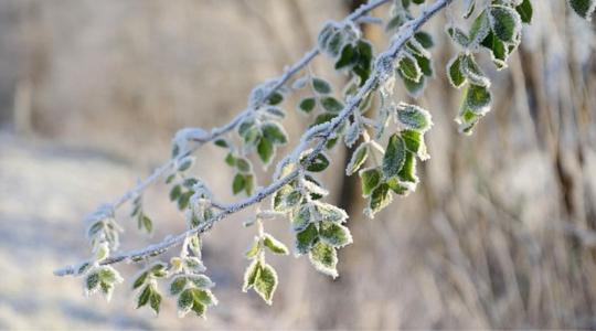 Miért volt ilyen hideg a tavasz? - Megváltoztak az évszakok!