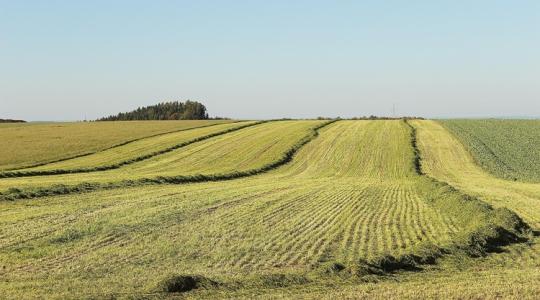Több tízezer gazda kapott már pénzt – zajlik az Agro-ökológiai Program végfizetése