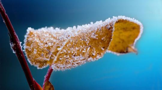 Megint fenyeget a fagy: Hogyan hat a mínusz 3-5°C-os hőmérséklet? +VIDEÓ