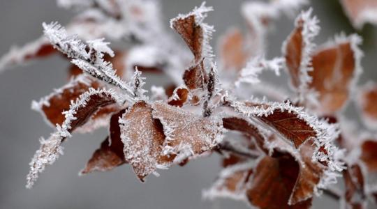 Új nyári hidegrekord: -7,91 Celsius-fok volt az északi országrészben