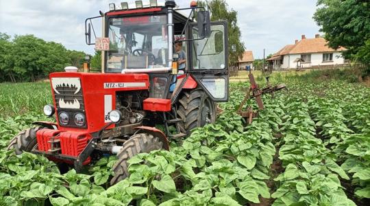 A hétvégi hőségre épp ráununk, mire ideér a front