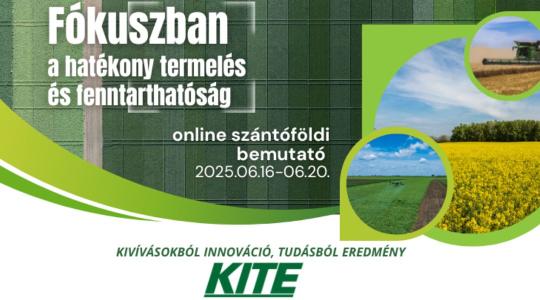 Stratégia, innováció és fenntarthatóság – a KITE vezetői egy asztalnál