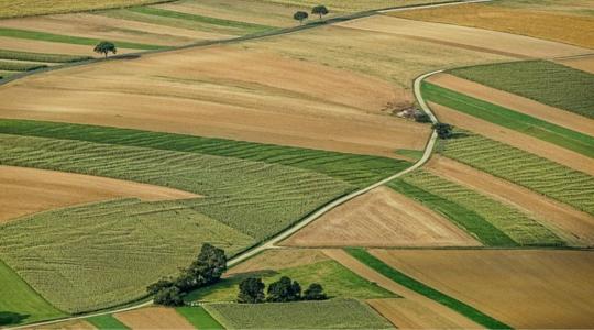A gazdák 91%-a már megkapta az AÖP-támogatást