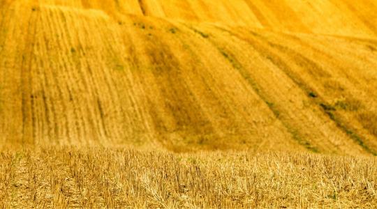 Így spórolhatsz a műtrágyán: szalmahasznosítás a gyakorlatban  