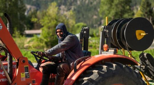 Ázsiai idénymunkások lepik el a magyar földeket – ez áll a háttérben