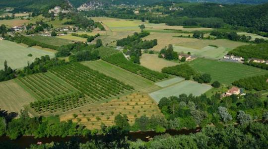 Javítás szankció nélkül: szeptember végéig módosíthatók az egységes kérelmek