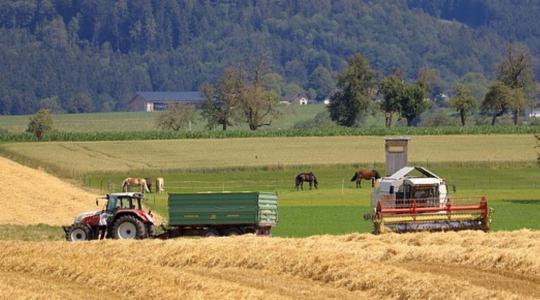Több milliárd forint támogatás jön a hazai kisvállalkozásoknak