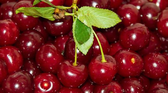 Így segíthet a meggy a vérnyomás csökkentésében – kutatás is alátámasztja