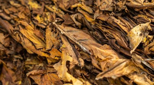 Zöldség helyett dohány: meglepő fogás egy hatósági ellenőrzésen