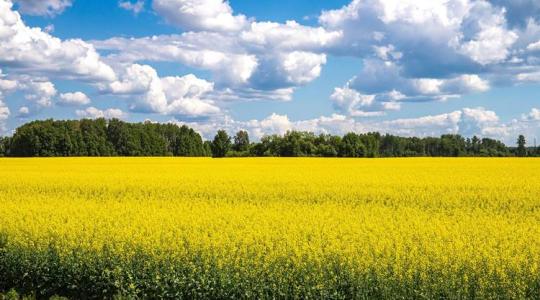 Régóta várt agrárpályázatok, rég nem látott állatbetegségek, történelmi léptékű agrárfejlesztés